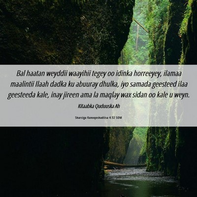 Picture 06 - Sharciga Kunoqoshadiisa 4:32 SOM - Bal haatan weyddii waayihii tegey oo idinka - Bible Verse Picture