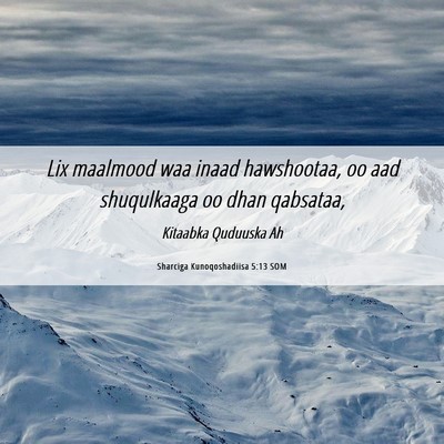 Picture 06 - Sharciga Kunoqoshadiisa 5:13 SOM - Lix maalmood waa inaad hawshootaa, oo aad - Bible Verse Picture