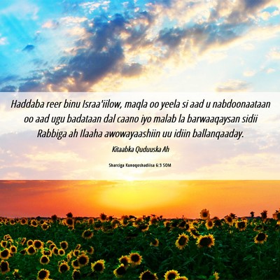 Picture 06 - Sharciga Kunoqoshadiisa 6:3 SOM - Haddaba reer binu Israa'iilow, maqla oo yeela si - Bible Verse Picture