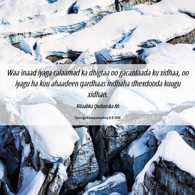 Picture 06 - Sharciga Kunoqoshadiisa 6:8 SOM - Waa inaad iyaga calaamad ka dhigtaa oo gacantaada - Bible Verse Picture