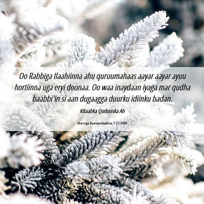 Picture 06 - Sharciga Kunoqoshadiisa 7:22 SOM - Oo Rabbiga Ilaahiinna ahu quruumahaas aayar aayar - Bible Verse Picture