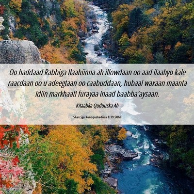 Picture 06 - Sharciga Kunoqoshadiisa 8:19 SOM - Oo haddaad Rabbiga Ilaahiinna ah illowdaan oo aad - Bible Verse Picture
