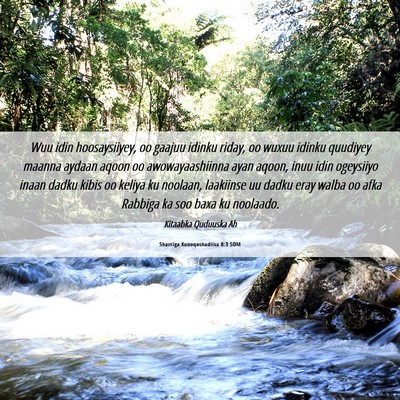 Picture 06 - Sharciga Kunoqoshadiisa 8:3 SOM - Wuu idin hoosaysiiyey, oo gaajuu idinku riday, oo - Bible Verse Picture