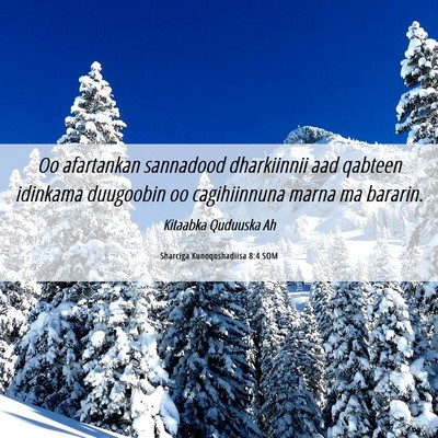 Picture 06 - Sharciga Kunoqoshadiisa 8:4 SOM - Oo afartankan sannadood dharkiinnii aad qabteen - Bible Verse Picture