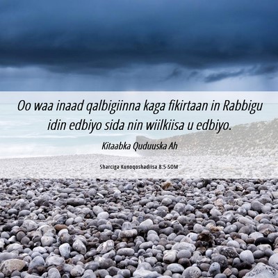 Picture 06 - Sharciga Kunoqoshadiisa 8:5 SOM - Oo waa inaad qalbigiinna kaga fikirtaan in - Bible Verse Picture