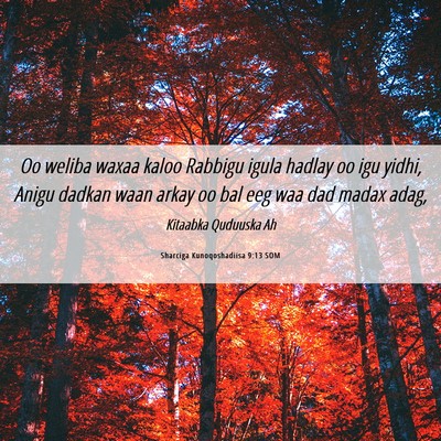 Picture 06 - Sharciga Kunoqoshadiisa 9:13 SOM - Oo weliba waxaa kaloo Rabbigu igula hadlay oo igu - Bible Verse Picture