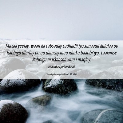Picture 06 - Sharciga Kunoqoshadiisa 9:19 SOM - Maxaa yeelay, waan ka cabsaday cadhadii iyo - Bible Verse Picture