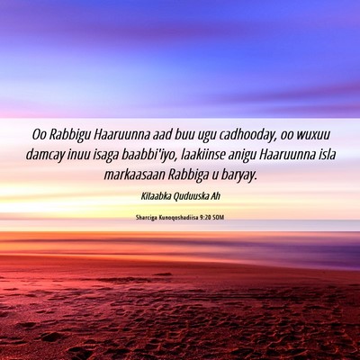 Picture 06 - Sharciga Kunoqoshadiisa 9:20 SOM - Oo Rabbigu Haaruunna aad buu ugu cadhooday, oo - Bible Verse Picture