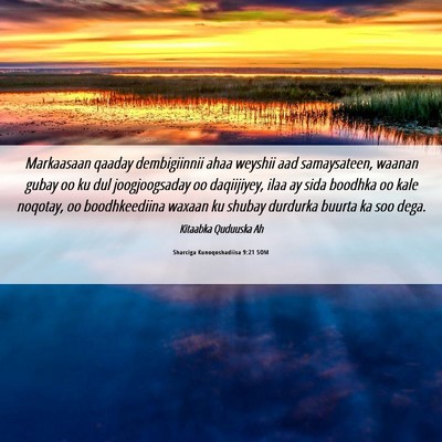 Picture 06 - Sharciga Kunoqoshadiisa 9:21 SOM - Markaasaan qaaday dembigiinnii ahaa weyshii aad - Bible Verse Picture