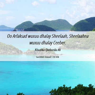 Picture 06 - Taariikhdii Kowaad 1:18 SOM - Oo Arfaksad wuxuu dhalay Sheelaah, Sheelaahna - Bible Verse Picture