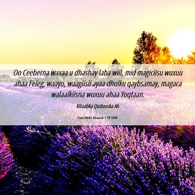 Picture 06 - Taariikhdii Kowaad 1:19 SOM - Oo Ceeberna waxaa u dhashay laba wiil, mid - Bible Verse Picture