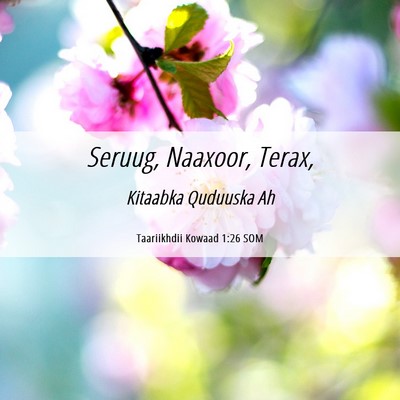 Picture 06 - Taariikhdii Kowaad 1:26 SOM - Seruug, Naaxoor, - Bible Verse Picture