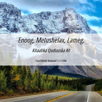 Picture 06 - Taariikhdii Kowaad 1:3 SOM - Enoog, Metushelax, - Bible Verse Picture