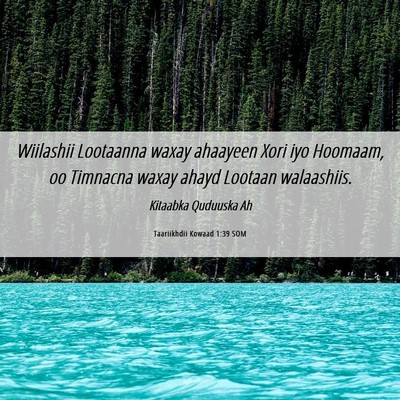 Picture 06 - Taariikhdii Kowaad 1:39 SOM - Wiilashii Lootaanna waxay ahaayeen Xori iyo - Bible Verse Picture