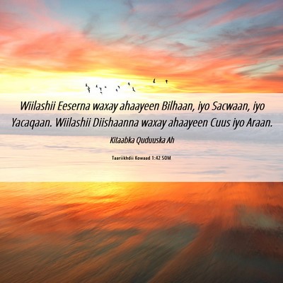 Picture 06 - Taariikhdii Kowaad 1:42 SOM - Wiilashii Eeserna waxay ahaayeen Bilhaan, iyo - Bible Verse Picture