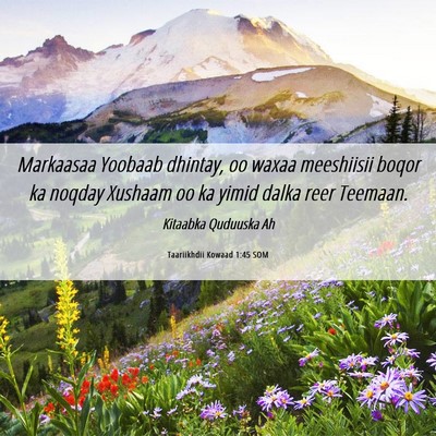 Picture 06 - Taariikhdii Kowaad 1:45 SOM - Markaasaa Yoobaab dhintay, oo waxaa meeshiisii - Bible Verse Picture