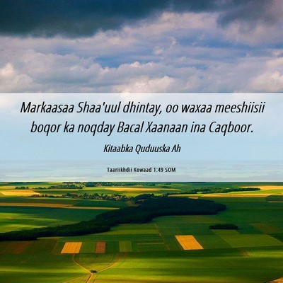 Picture 06 - Taariikhdii Kowaad 1:49 SOM - Markaasaa Shaa'uul dhintay, oo waxaa meeshiisii - Bible Verse Picture