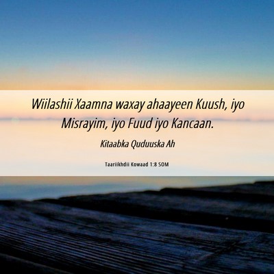 Picture 06 - Taariikhdii Kowaad 1:8 SOM - Wiilashii Xaamna waxay ahaayeen Kuush, iyo - Bible Verse Picture