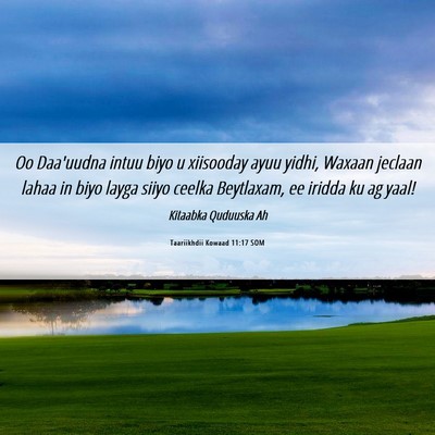 Picture 06 - Taariikhdii Kowaad 11:17 SOM - Oo Daa'uudna intuu biyo u xiisooday ayuu yidhi, - Bible Verse Picture