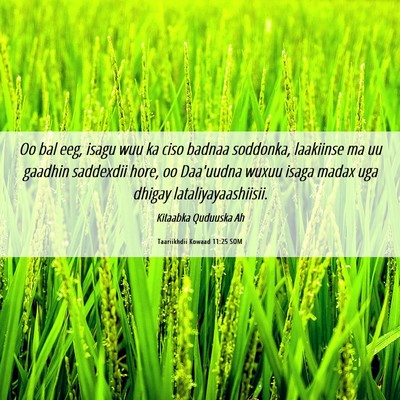Picture 06 - Taariikhdii Kowaad 11:25 SOM - Oo bal eeg, isagu wuu ka ciso badnaa soddonka, - Bible Verse Picture
