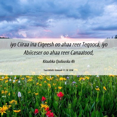 Picture 06 - Taariikhdii Kowaad 11:28 SOM - iyo Ciiraa ina Ciqeesh oo ahaa reer Teqooca, iyo - Bible Verse Picture