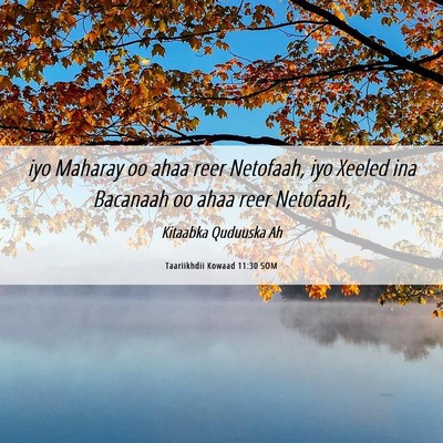 Picture 06 - Taariikhdii Kowaad 11:30 SOM - iyo Maharay oo ahaa reer Netofaah, iyo Xeeled ina - Bible Verse Picture