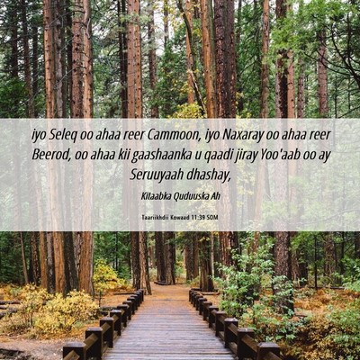 Picture 06 - Taariikhdii Kowaad 11:39 SOM - iyo Seleq oo ahaa reer Cammoon, iyo Naxaray oo - Bible Verse Picture