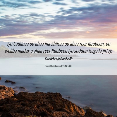 Picture 06 - Taariikhdii Kowaad 11:42 SOM - iyo Cadiinaa oo ahaa ina Shiisaa oo ahaa reer - Bible Verse Picture