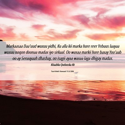 Picture 06 - Taariikhdii Kowaad 11:6 SOM - Markaasaa Daa'uud wuxuu yidhi, Ku alla kii marka - Bible Verse Picture
