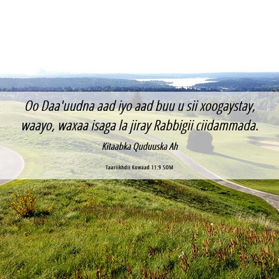Picture 06 - Taariikhdii Kowaad 11:9 SOM - Oo Daa'uudna aad iyo aad buu u sii xoogaystay, - Bible Verse Picture