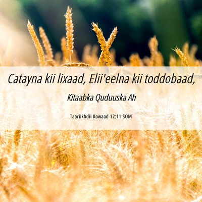 Picture 06 - Taariikhdii Kowaad 12:11 SOM - Catayna kii lixaad, Elii'eelna kii - Bible Verse Picture