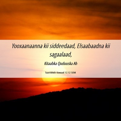 Picture 06 - Taariikhdii Kowaad 12:12 SOM - Yooxaanaanna kii siddeedaad, Elsaabaadna kii - Bible Verse Picture