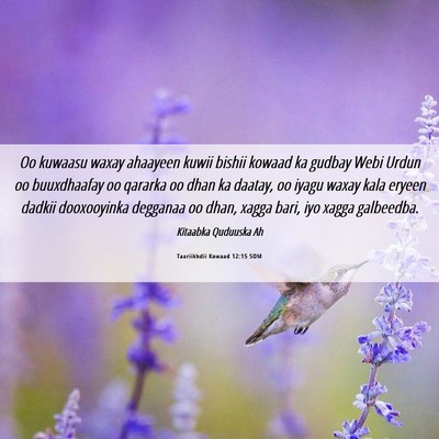 Picture 06 - Taariikhdii Kowaad 12:15 SOM - Oo kuwaasu waxay ahaayeen kuwii bishii kowaad ka - Bible Verse Picture