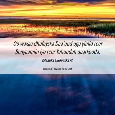 Picture 06 - Taariikhdii Kowaad 12:16 SOM - Oo waxaa dhufayska Daa'uud ugu yimid reer - Bible Verse Picture