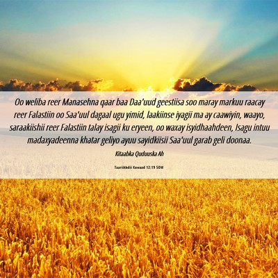 Picture 06 - Taariikhdii Kowaad 12:19 SOM - Oo weliba reer Manasehna qaar baa Daa'uud - Bible Verse Picture