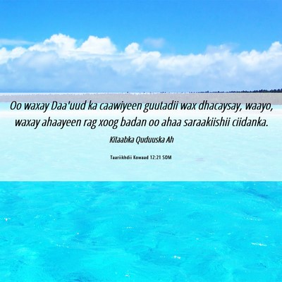 Picture 06 - Taariikhdii Kowaad 12:21 SOM - Oo waxay Daa'uud ka caawiyeen guutadii wax - Bible Verse Picture