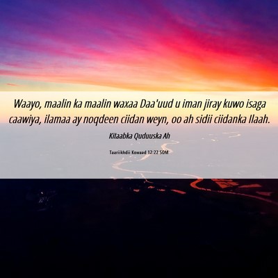 Picture 06 - Taariikhdii Kowaad 12:22 SOM - Waayo, maalin ka maalin waxaa Daa'uud u iman - Bible Verse Picture
