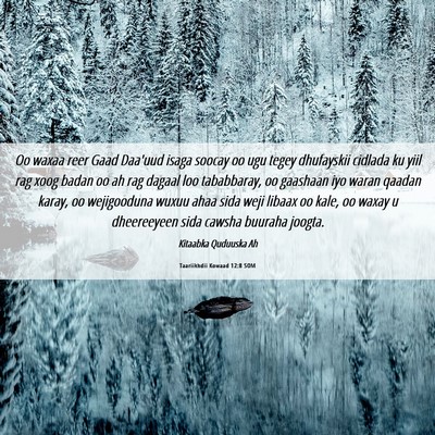 Picture 06 - Taariikhdii Kowaad 12:8 SOM - Oo waxaa reer Gaad Daa'uud isaga soocay oo ugu - Bible Verse Picture