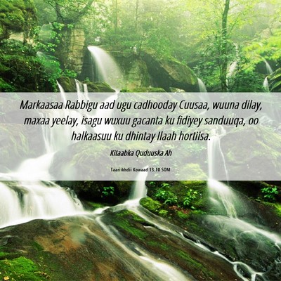 Picture 06 - Taariikhdii Kowaad 13:10 SOM - Markaasaa Rabbigu aad ugu cadhooday Cuusaa, wuuna - Bible Verse Picture