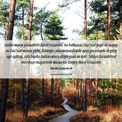 Picture 06 - Taariikhdii Kowaad 14:11 SOM - Hadda waxay yimaadeen Bacal Feraasiim, oo - Bible Verse Picture