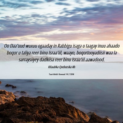 Picture 06 - Taariikhdii Kowaad 14:2 SOM - Oo Daa'uud wuxuu ogaaday in Rabbigu isaga u - Bible Verse Picture