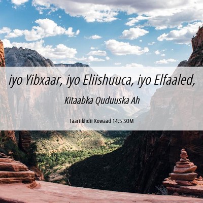 Picture 06 - Taariikhdii Kowaad 14:5 SOM - iyo Yibxaar, iyo Eliishuuca, iyo - Bible Verse Picture