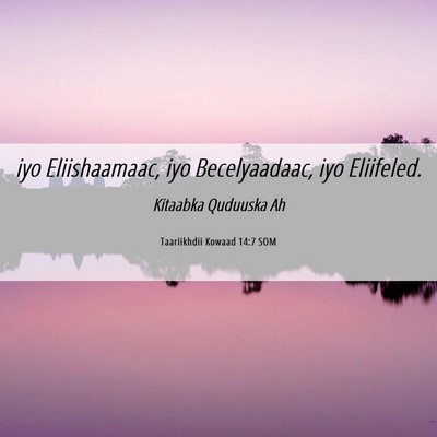 Picture 06 - Taariikhdii Kowaad 14:7 SOM - iyo Eliishaamaac, iyo Becelyaadaac, iyo - Bible Verse Picture
