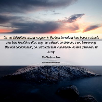 Picture 06 - Taariikhdii Kowaad 14:8 SOM - Oo reer Falastiinna markay maqleen in Daa'uud loo - Bible Verse Picture