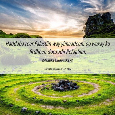 Picture 06 - Taariikhdii Kowaad 14:9 SOM - Haddaba reer Falastiin way yimaadeen, oo waxay ku - Bible Verse Picture