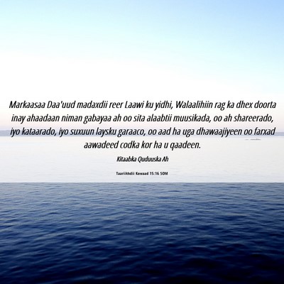 Picture 06 - Taariikhdii Kowaad 15:16 SOM - Markaasaa Daa'uud madaxdii reer Laawi ku yidhi, - Bible Verse Picture