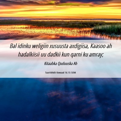 Picture 06 - Taariikhdii Kowaad 16:15 SOM - Bal idinku weligiin xusuusta axdigiisa, Kaasoo ah - Bible Verse Picture