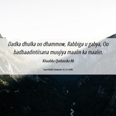 Picture 06 - Taariikhdii Kowaad 16:23 SOM - Dadka dhulka oo dhammow, Rabbiga u gabya, Oo - Bible Verse Picture