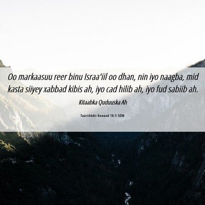 Picture 06 - Taariikhdii Kowaad 16:3 SOM - Oo markaasuu reer binu Israa'iil oo dhan, nin iyo - Bible Verse Picture