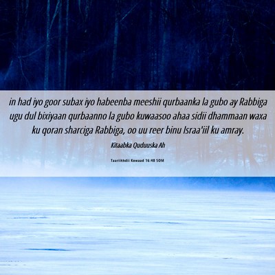 Picture 06 - Taariikhdii Kowaad 16:40 SOM - in had iyo goor subax iyo habeenba meeshii - Bible Verse Picture